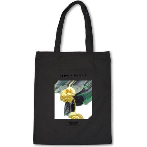 European Retro Fashion Shopping Bag Girl Womens Tote Bag Canvas Student Shoulder Bags Graphics Printed Art Casual Folding