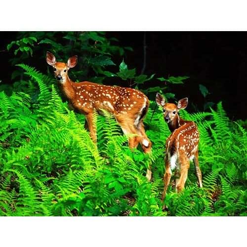 The deers wall hanging home decor picture gobelin tapestry fashion multifunctional art picture,Nice gifts for family