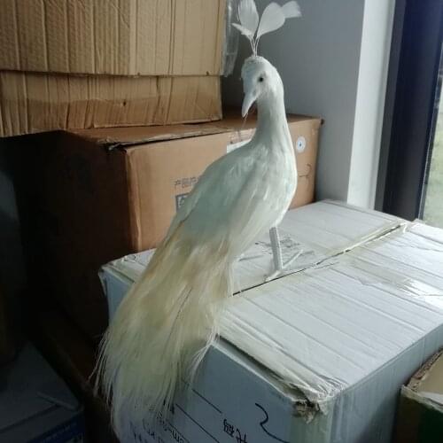Real life white peacocks bird model foam&feather cute simulation peacocks gift about 45cm xf3011