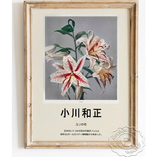Kazumasa Ogawa Exhibition Museum Retro Poster, Lily Hand-Colored Plants Canvas Painting, Japanese Flowers Prints, Wall Art Decor