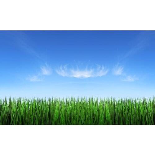 Blue sky photography background vinyl fabric green grassland wall photo backdrop for photography studio props fotografia lv-1625
