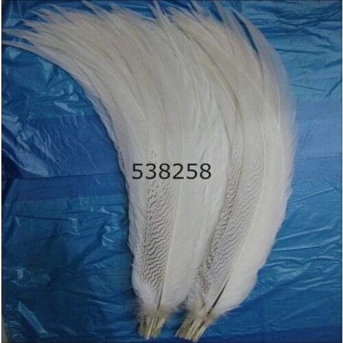 Silver pheasant feathers 50-55cm natural pure white color for craft dancer decoration plumages