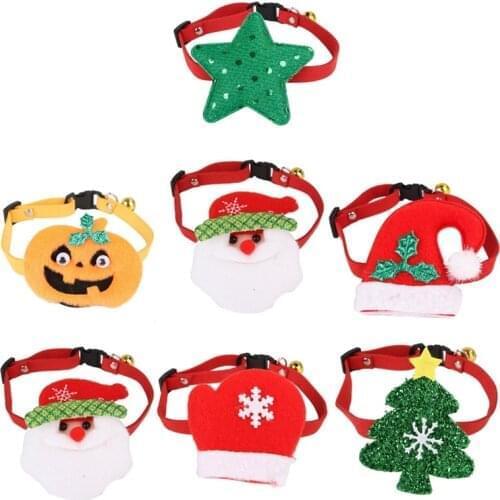 Tsondianz Pet Supplies