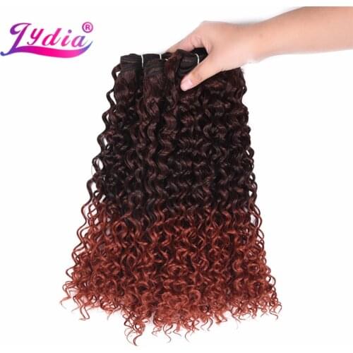 Lydia Two-Tone Ombre Color Synthetic Hair Bundles Curly Wave 10-24 Inch 3PCS/Lot Hair Extension No Shedding