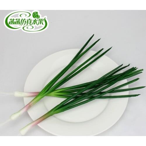 Shallops PU food model kitchen cabinet props child shallops toy Onion