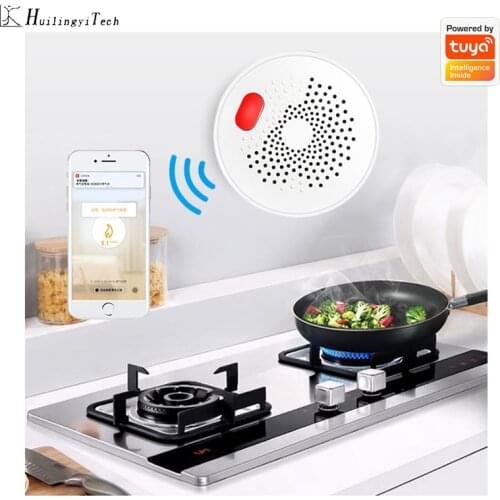Combustible Gas Detector Tuya Wireless Co Sensor WiFi Smart APP Remote Control for Home Alarm System