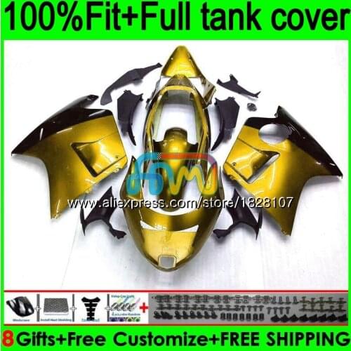 OEM For HONDA Blackbird CBR1100XX Gloss golden 1996 97 1998 99 2000 01 138BS.118 CBR 1100 XX 2002 03 2004 05 2006 2007 Fairing
