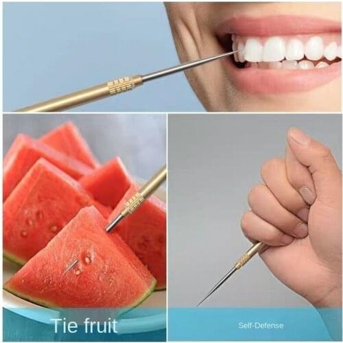 Titanium Outdoor Edc Portable Multi-Purpose Toothpick Bottle Fruit Fork Camping Tool Toothpick Tube Is More Durable Than Floss