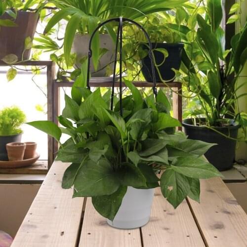 6PCS Multifunction Trees Hoops U-shaped Plant Supports Tomatoes Beans Durable Trees Garden Trellis Supports Climbing Trellis