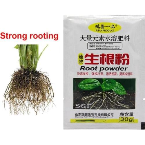 1 Pack Plant Growth Rapid Rooting Powder Water Soluble For Seedling Bonsai Tree Cutting Fungicide Rooting Hormones Fertilizer