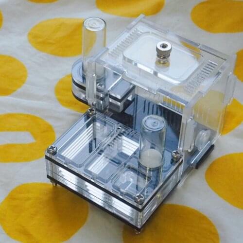 Palm Ant Castle Mini Acrylic Ant Nest Ant Pet Double Water Tower Ants Farm House 9X9X7cm