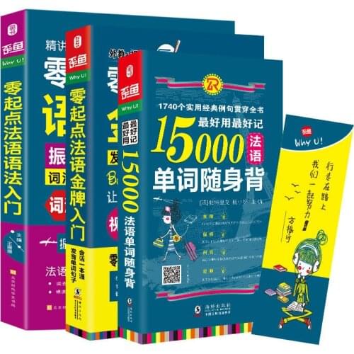 Beginner French beginner Learn French pronunciation vocabulary by yourself Spoken Grammar Exams Analysis Books