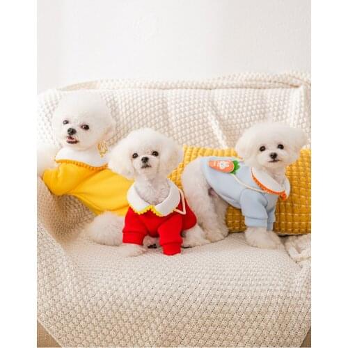 Autumn thin puppy dog spring and autumn clothes Teddy Pomeranian small puppies