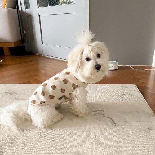 High Quality Cotton Hoodie For Dog Spring Clothing For Small Puppy Cat Coat Schnauzer Chihuahua Clothes With Bear Pet Vest