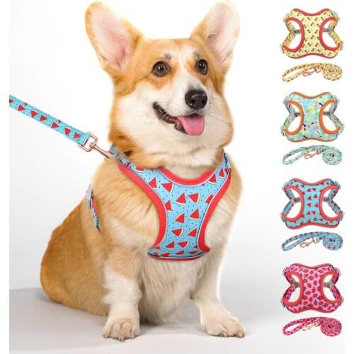 Mesh Nylon Dog Harness and Leash Set Reflective Dogs Vest Harnesses With Lead Belt Rope for Small Medium Large Dogs Pug