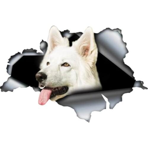 Waterproof Car Sticker 3D Graphic Creative Swiss Shepherd Motorcycle Bumper Decoration Decal Vinyl Scratch Fitting 13*9cm