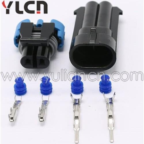 2 Pin Male and Female automotive sensor connector 12052641 12162000