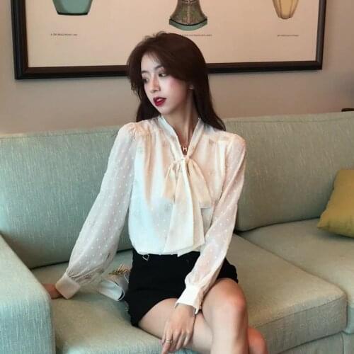 Embroidered chiffon shirt female autumn new long-sleeved shirt temperament v-neck bottoming shirt design niche blouse