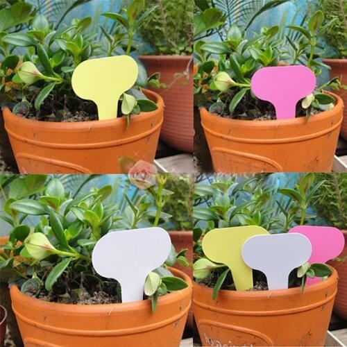 50/100pcs 6 x10cm Plastic Plant T-type Tags Markers Nursery Garden Labels Gray Nursery Pots Garden Decoration Seedling Tray