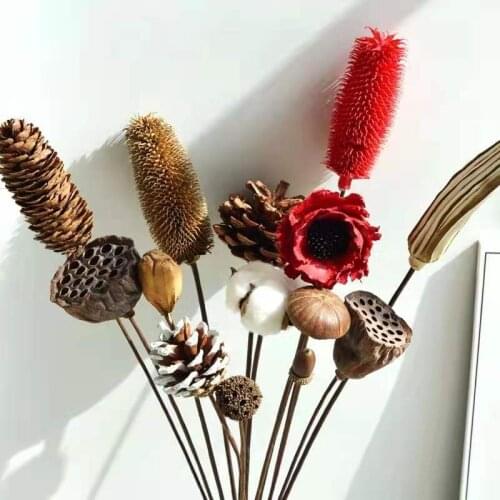 Natural Dried Flower Pampas Lotus Wheat Eucalyptus Pinecone Decoration for Nordic Home Photo Shoot Props Artificial Plants Decor