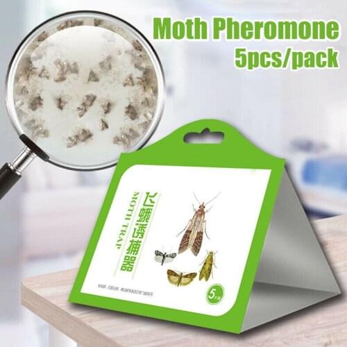 5 Pack/Set Attractant Moth Trap Pantry Kitchen Anti Moth Traps FP8