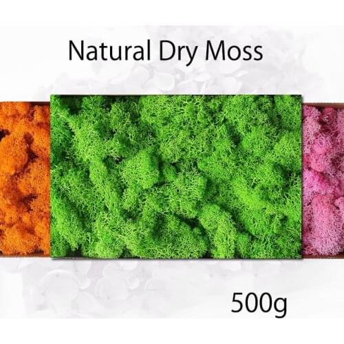 500g Natural Dry Moss Simulation Plants Eternal Life Home Decor Wall DIY Flower Material Mini Garden Micro Landscape Fake Moss