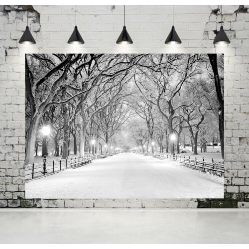 VinylBDS Frozen Snow Scenery Photography Backdrops White Winter Street Background Country Road Backdrop For Outdoor Wedding