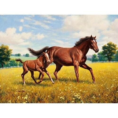 5D Diy Diamond Painting Motorcycle Racer Embroidery Bead Cross Stitch Kit Full Square Round Drill 3d Picture Mosaic Craft