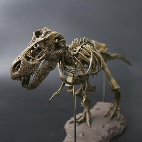 Dinosaur 4D with 54 parts Collected Dinosaur skull replica Bone Tyrannosaurus Fossil Skeleton Animal Model Teaching Tool