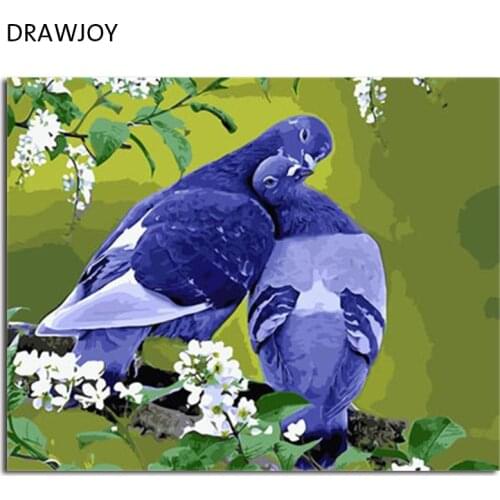DRAWJOY Framed Animal Birds DIY Painting By Numbers On Canvas Painting And Calligraphy Wall Art For Home Decor 40x50