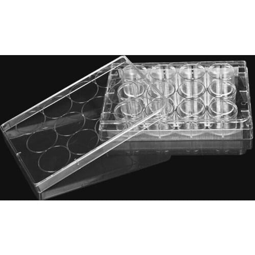 Labselect 12 Well Cell Culture Plate No DNase And RNase 10PCS/lot