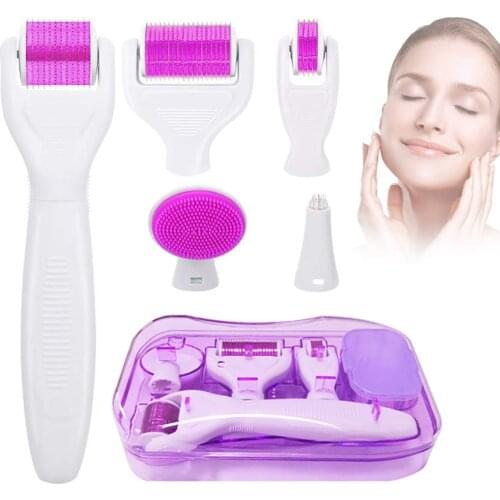 6 in 1 Derma Roller Microneedle Kit For Face Body 5 Replaceable Titanium Heads Home Skincare Cosmetic Non-Invasive Micro Needle