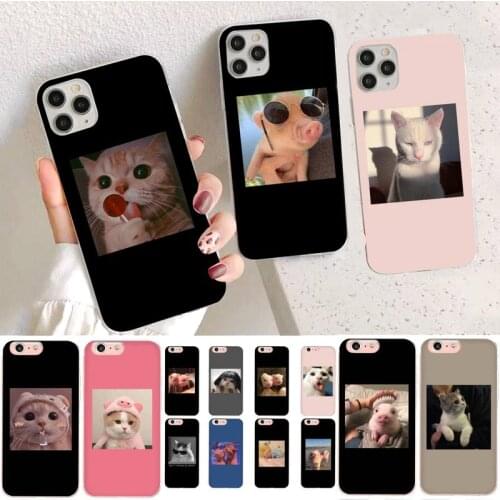 YNDFCNB Cartoon Cat Pig Phone Case for iPhone 11 12 pro XS MAX 8 7 6 6S Plus X 5S SE 2020 XR cover