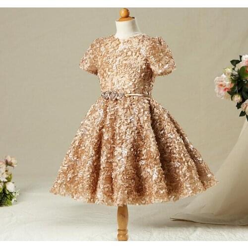 Girls Wedding Dress Party Dress Girls Birthday Applique Dress Princess Ball Gown Kids Short Sleeve Performance Clothes