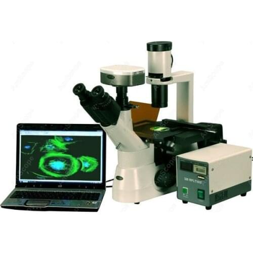 Contrast Inverted Fluorescent Microscope-AmScope Supplies 40-1000x Phase Contrast Inverted Fluorescent Microscope + Fluo Camera