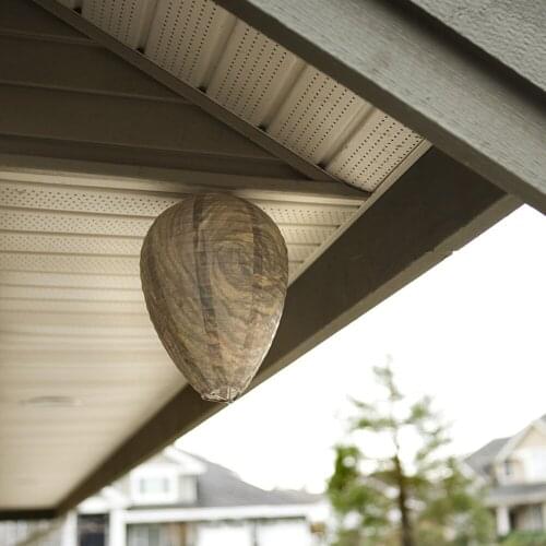 11x8.7 inch Eco Friendly Hanging Wasp Deterrent Non-Toxic Hornet Wasp Nest Decoy Romantic Holiday Lights Outdoor Lighting