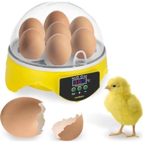 7Eggs Chicken Bird Incubator Egg Rack Tray Hatching Machine Intelligent Temperature Control Quail Parrot Incubation Brooder Tool