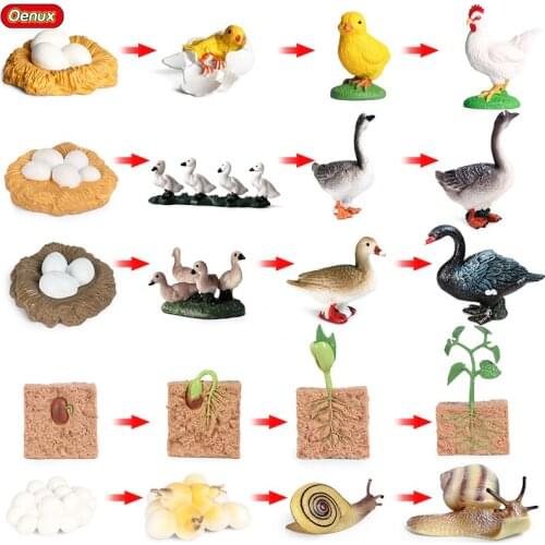 Oenux Animals Growth Cycle Model Scorpion Snails Goose Seed Octopus Chicken Bee Action Figures PVC Educational Baby Kids Toy