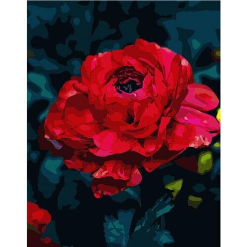 Big Red Blooming 40x50CM DIY Painting By Numbers Acrylic Colorful Flower Hand Painted Oil Paint By Numbers For Home Decor Art