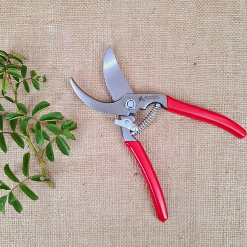 Riding On Bond Pruning shears