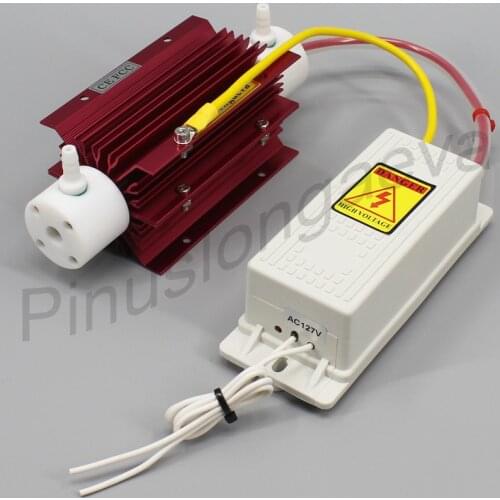 Pinus longaeva 5G/H 5grams ozone generator Kit new technology spa water treatment ozonator home use air WATER purifier