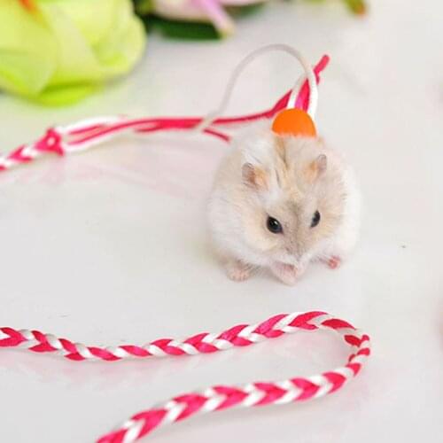 1.4m Adjustable Pet Hamster Leash Harness Rope Gerbil Cotton Rope Harness Lead Collar for Rat Mouse Hamster Pet Cage Leash