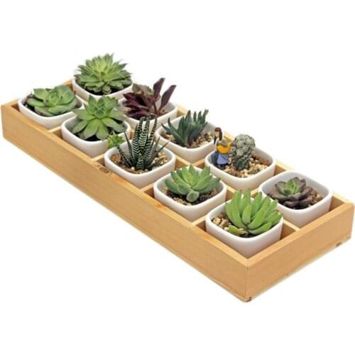 Fleshy Flower Iron Ceramics Flowerpot Wooden Box Succulent Plant Flower Pot Rack Planter Bonsai Pot De Fleur