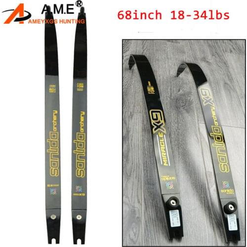 Archery 40lbs ILF Graphite Foam Core Recurve Bow Limbs Takedown Bow 68" X9 Shooting Hunting Accessories