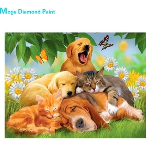 Dogs and Cats in Sleep Animal Diamond Painting Round Full Drill Nouveaute DIY Mosaic Embroidery 5D Cross Stitch Home Decor Gifts
