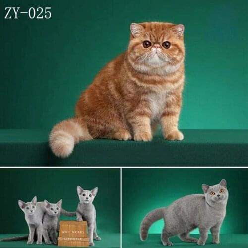 DAWNKNOW Pet Cat Photography Background Backdrop Green Uniquely Texture Pro Tie-Dyed Muslin Photocall Photo Studio Props 2x3M