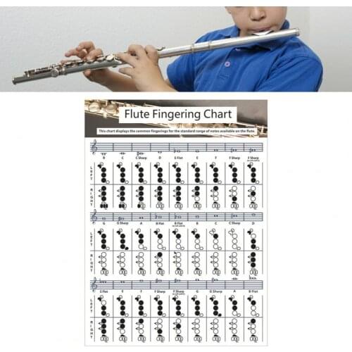 Professional Guitar Flute Chord Fingering Chart Fingering Chart Flute Practice Comparison Chart For Guitar Beginners Tainning