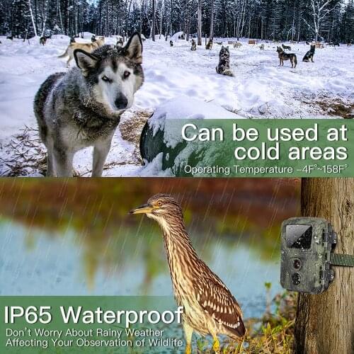 Outdoor 12MP 1080P Hunting Camera Photo Trap game Wildlife home farmwork safety Trail Night vision Hunting Scouting Game cam