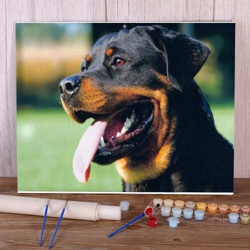 Animal Dog Rottweiler Paint By Numbers Kit Acrylic Paints 50*70 Canvas Painting Decorative Paintings Adults Handiwork Drawing