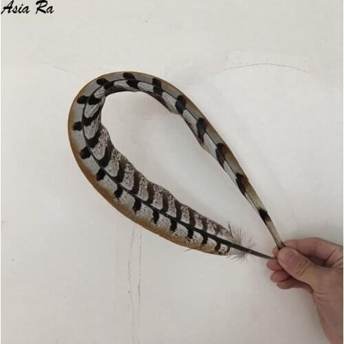 Wholesale 10pcs 40-45CM Natural Reeves Pheasant Tails Feather Carnival Party /Stage Performance/Shamba Decoration Feather/Plume